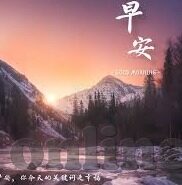 360新浪足球比分直播-360新浪足球比分直播，球迷的实时观赛神器，解锁足球狂欢新体验