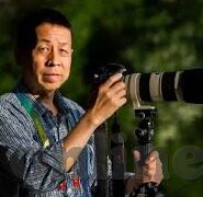 芬兰足球队比分-芬兰足球队比分，从默默无闻到欧洲足坛新星的崛起之路