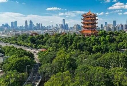 韩国足球比分-韩国足球比分背后的竞技风云与文化密码，从世界杯到亚洲杯的深度解码